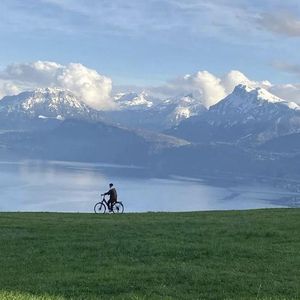 亚洲精品一区二区三区四区五区
